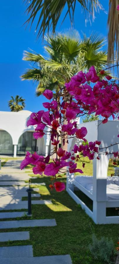 Maison - Dar Ouled Soltane Gammarth Buitenkant foto